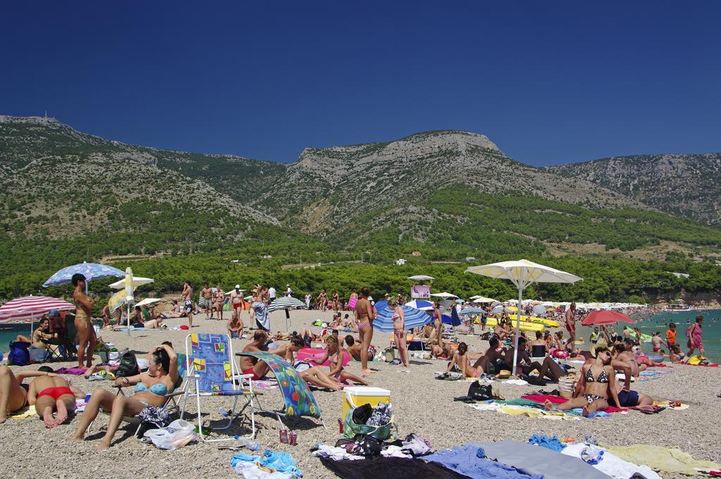 Vacation Oleandra Bol
